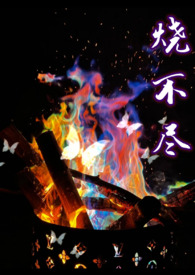 烧不尽全文在线阅读